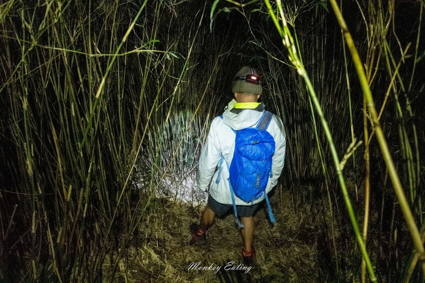 【白姑大山2天1夜】B級百岳｜中橫四辣特辣｜司晏池營地紮營。行程記錄、水源資訊 - 貪吃猴的幻想