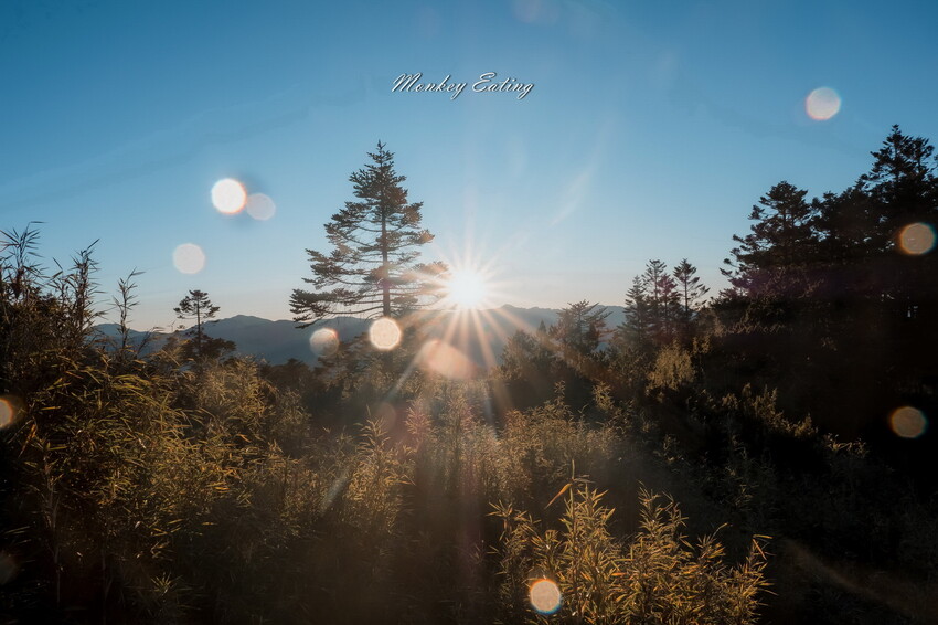 【白姑大山2天1夜】B級百岳｜中橫四辣特辣｜司晏池營地紮營。行程記錄、水源資訊 - 貪吃猴的幻想