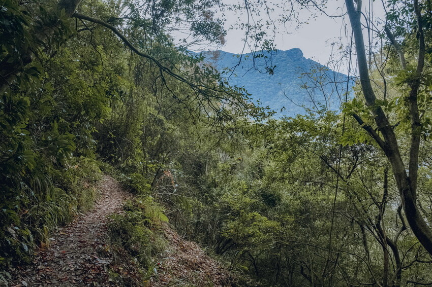 【苗栗泰安】水雲三星之首-虎山｜號稱中級山的大霸尖山，登山攻略。停車資訊 - 貪吃猴的幻想