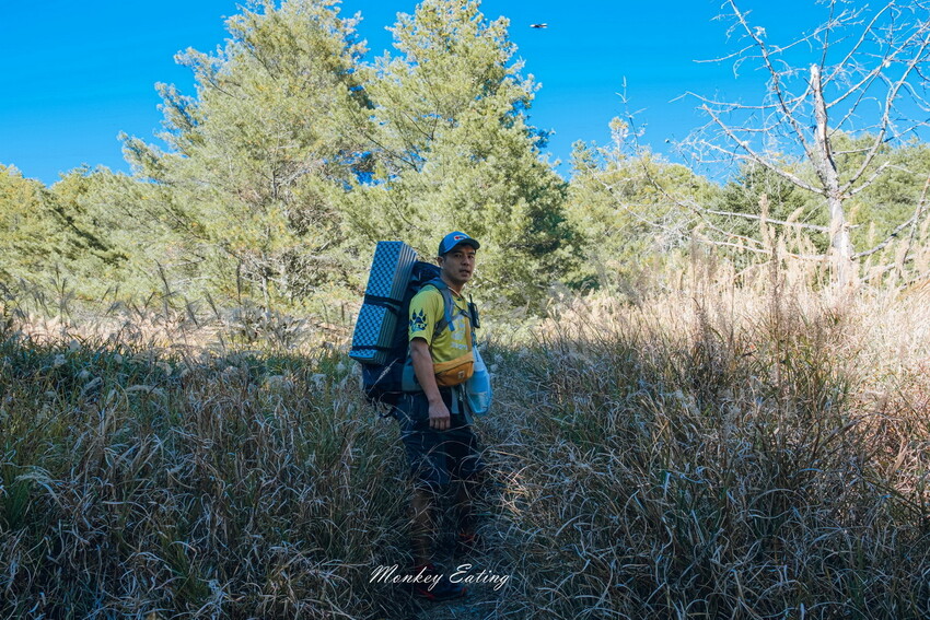 【白姑大山2天1夜】B級百岳｜中橫四辣特辣｜司晏池營地紮營。行程記錄、水源資訊 - 貪吃猴的幻想
