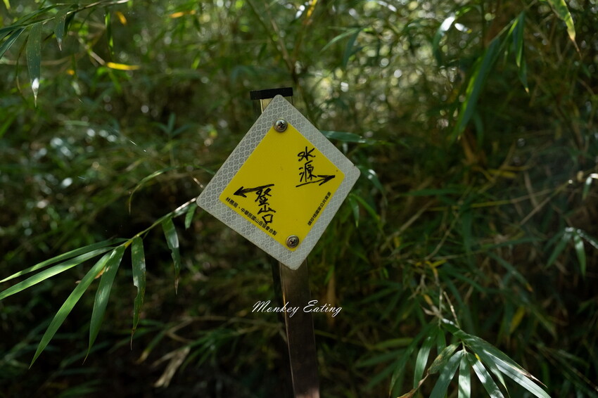 【白姑大山2天1夜】B級百岳｜中橫四辣特辣｜司晏池營地紮營。行程記錄、水源資訊 - 貪吃猴的幻想