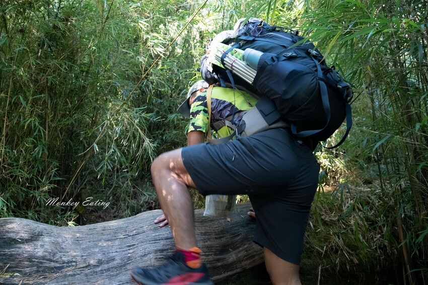 【白姑大山2天1夜】B級百岳｜中橫四辣特辣｜司晏池營地紮營。行程記錄、水源資訊 - 貪吃猴的幻想