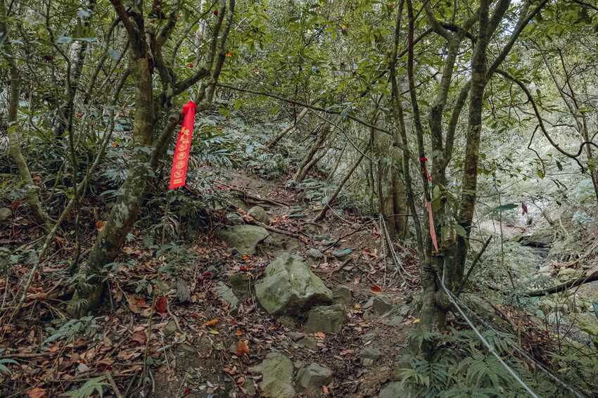 【苗栗泰安】水雲三星之首-虎山｜號稱中級山的大霸尖山，登山攻略。停車資訊 - 貪吃猴的幻想
