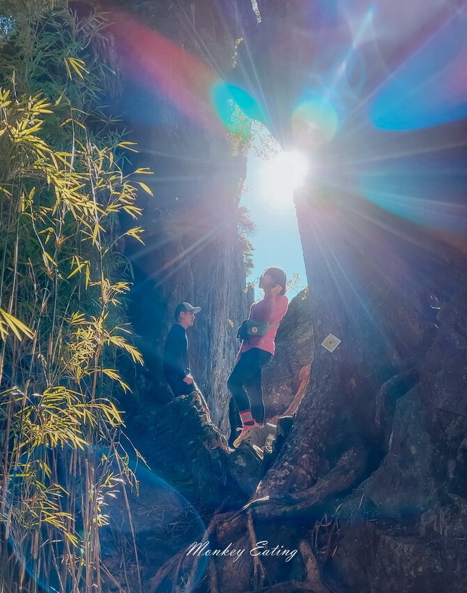 【白姑大山2天1夜】B級百岳｜中橫四辣特辣｜司晏池營地紮營。行程記錄、水源資訊 - 貪吃猴的幻想