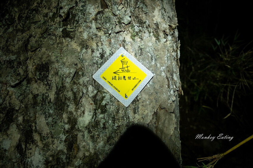 【白姑大山2天1夜】B級百岳｜中橫四辣特辣｜司晏池營地紮營。行程記錄、水源資訊 - 貪吃猴的幻想