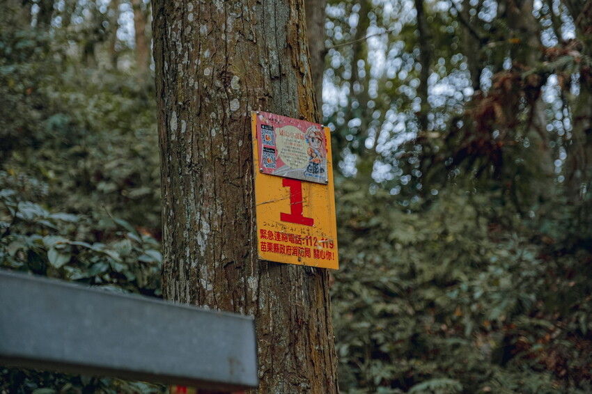 【苗栗泰安】水雲三星之首-虎山｜號稱中級山的大霸尖山，登山攻略。停車資訊 - 貪吃猴的幻想