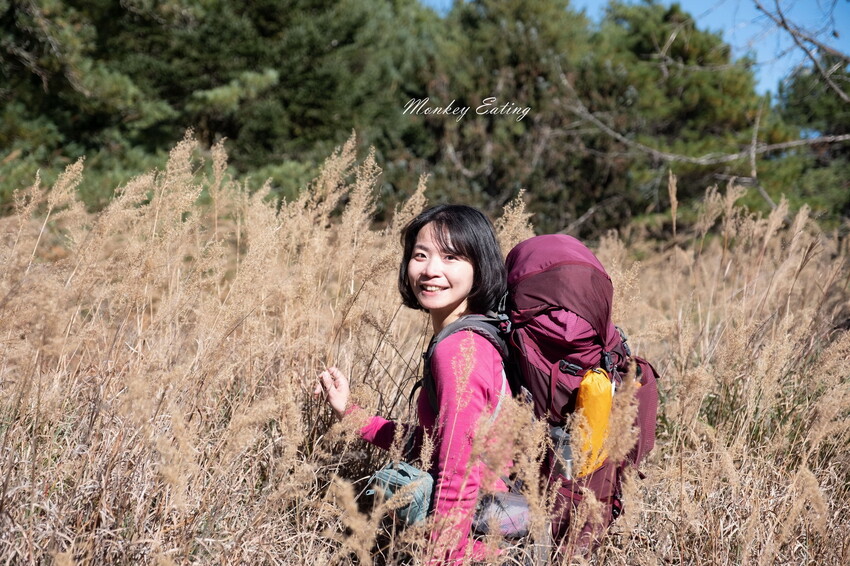 【白姑大山2天1夜】B級百岳｜中橫四辣特辣｜司晏池營地紮營。行程記錄、水源資訊 - 貪吃猴的幻想