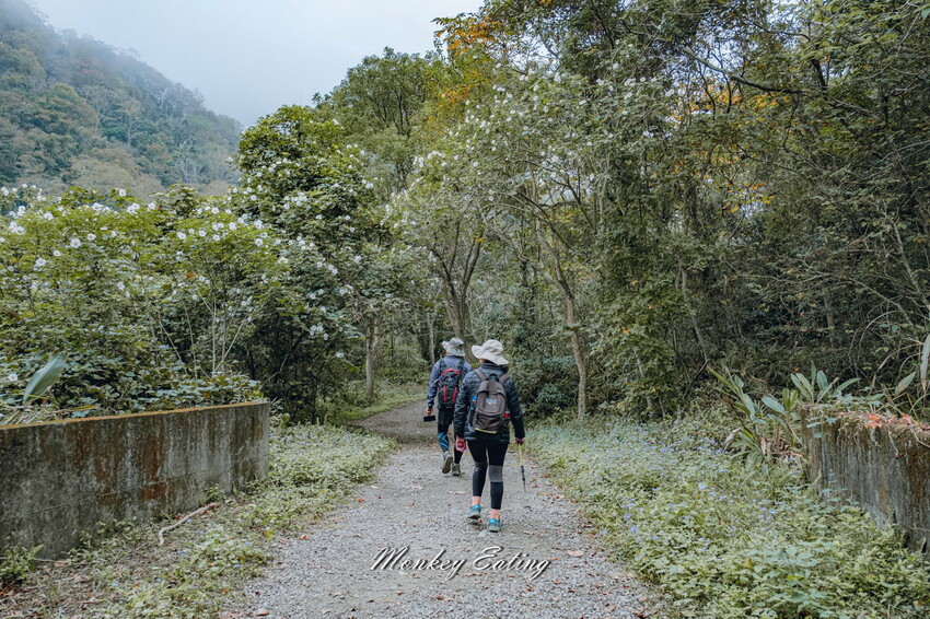 【苗栗泰安】水雲三星之首-虎山｜號稱中級山的大霸尖山，登山攻略。停車資訊 - 貪吃猴的幻想