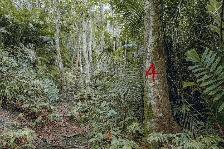 【苗栗泰安】水雲三星之首-虎山｜號稱中級山的大霸尖山，登山攻略。停車資訊 - 貪吃猴的幻想