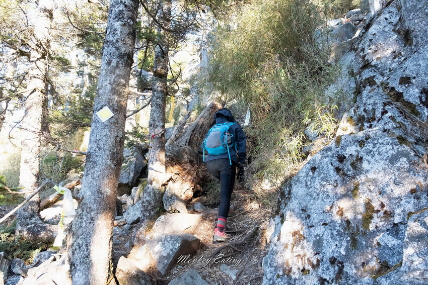 【白姑大山2天1夜】B級百岳｜中橫四辣特辣｜司晏池營地紮營。行程記錄、水源資訊 - 貪吃猴的幻想