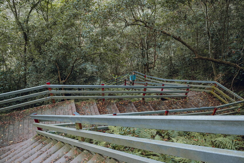 【苗栗泰安】水雲三星之首-虎山｜號稱中級山的大霸尖山，登山攻略。停車資訊 - 貪吃猴的幻想