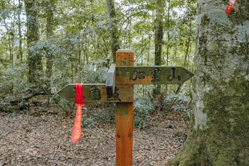【苗栗泰安】水雲三星之首-虎山｜號稱中級山的大霸尖山，登山攻略。停車資訊 - 貪吃猴的幻想