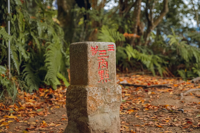 【苗栗泰安】水雲三星之首-虎山｜號稱中級山的大霸尖山，登山攻略。停車資訊 - 貪吃猴的幻想
