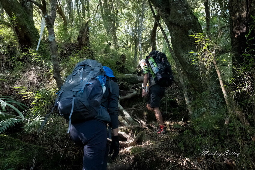 【白姑大山2天1夜】B級百岳｜中橫四辣特辣｜司晏池營地紮營。行程記錄、水源資訊 - 貪吃猴的幻想