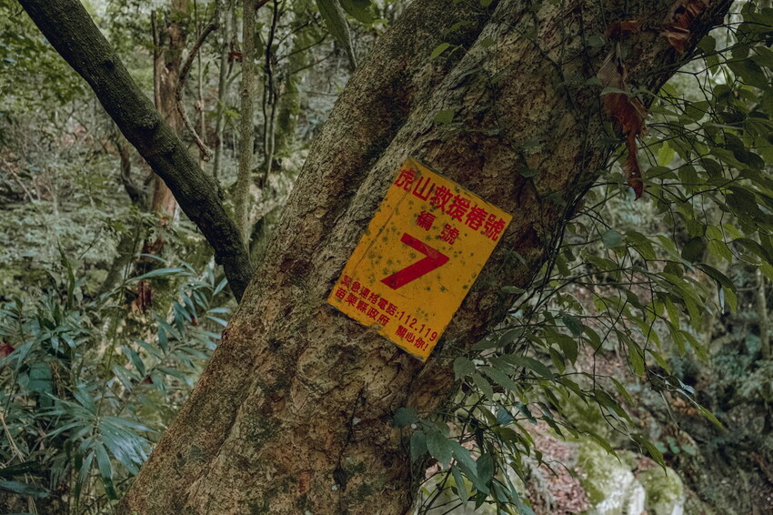 【苗栗泰安】水雲三星之首-虎山｜號稱中級山的大霸尖山，登山攻略。停車資訊 - 貪吃猴的幻想