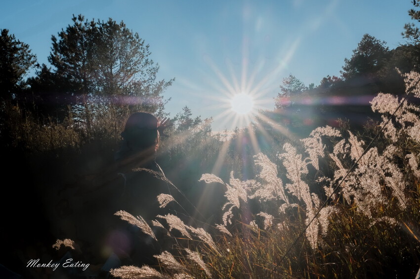 【白姑大山2天1夜】B級百岳｜中橫四辣特辣｜司晏池營地紮營。行程記錄、水源資訊 - 貪吃猴的幻想