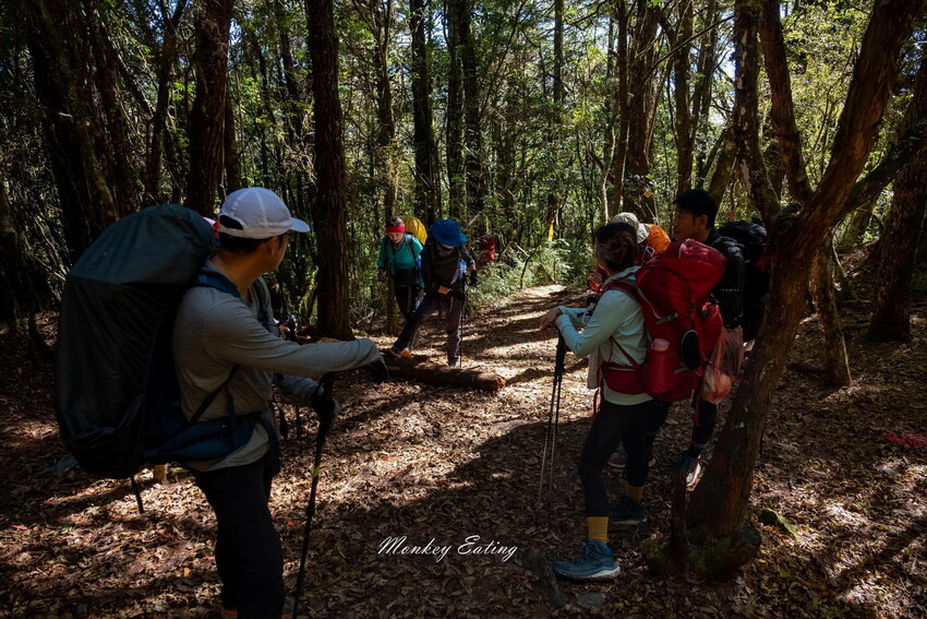 【白姑大山2天1夜】B級百岳｜中橫四辣特辣｜司晏池營地紮營。行程記錄、水源資訊 - 貪吃猴的幻想