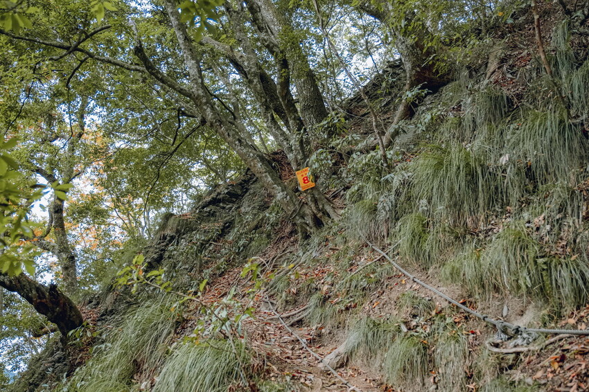 【苗栗泰安】水雲三星之首-虎山｜號稱中級山的大霸尖山，登山攻略。停車資訊 - 貪吃猴的幻想