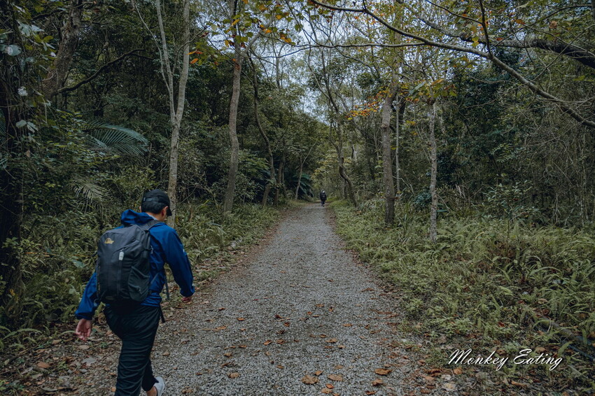 【苗栗泰安】水雲三星之首-虎山｜號稱中級山的大霸尖山，登山攻略。停車資訊 - 貪吃猴的幻想