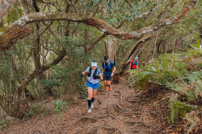 【苗栗泰安】水雲三星之首-虎山｜號稱中級山的大霸尖山，登山攻略。停車資訊 - 貪吃猴的幻想