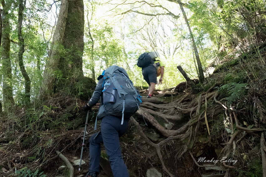 【白姑大山2天1夜】B級百岳｜中橫四辣特辣｜司晏池營地紮營。行程記錄、水源資訊 - 貪吃猴的幻想