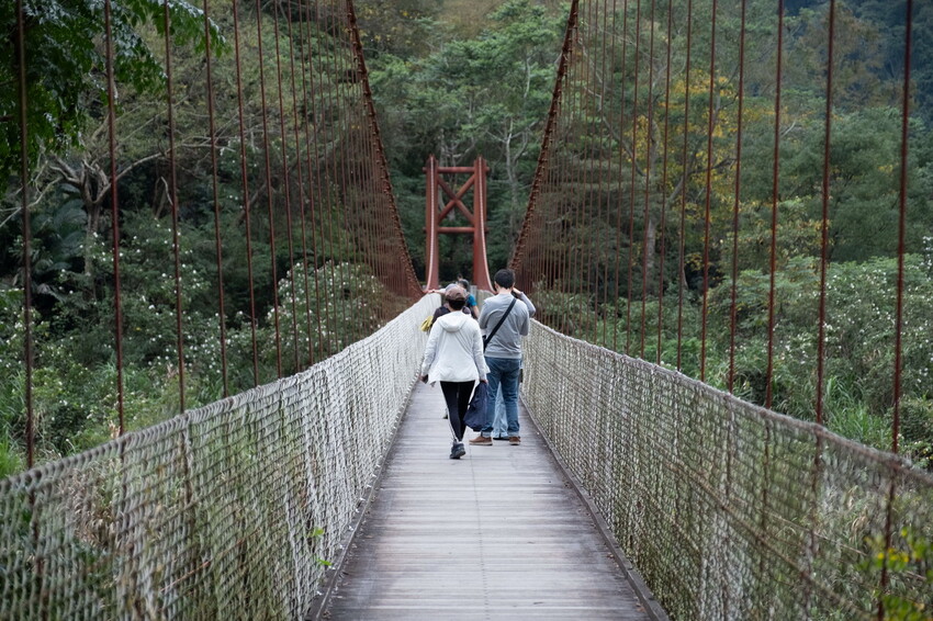 【苗栗泰安】水雲三星之首-虎山｜號稱中級山的大霸尖山，登山攻略。停車資訊 - 貪吃猴的幻想