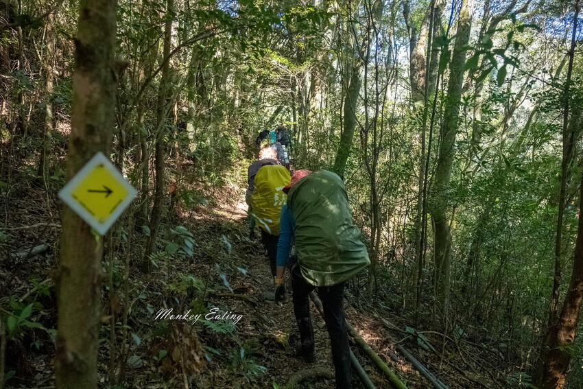 【白姑大山2天1夜】B級百岳｜中橫四辣特辣｜司晏池營地紮營。行程記錄、水源資訊 - 貪吃猴的幻想