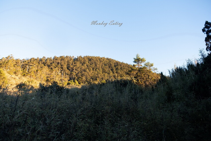 【白姑大山2天1夜】B級百岳｜中橫四辣特辣｜司晏池營地紮營。行程記錄、水源資訊 - 貪吃猴的幻想