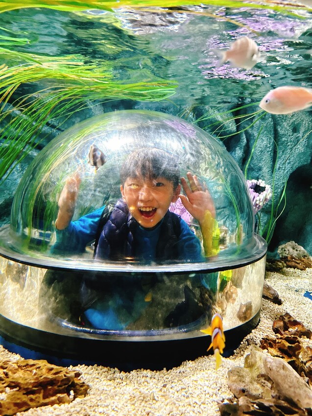 日本大阪、名古屋親子旅遊必玩景點～日本賞楓、大阪環球影城、樂高樂園、忍者博物館、名古屋電視塔超多行程