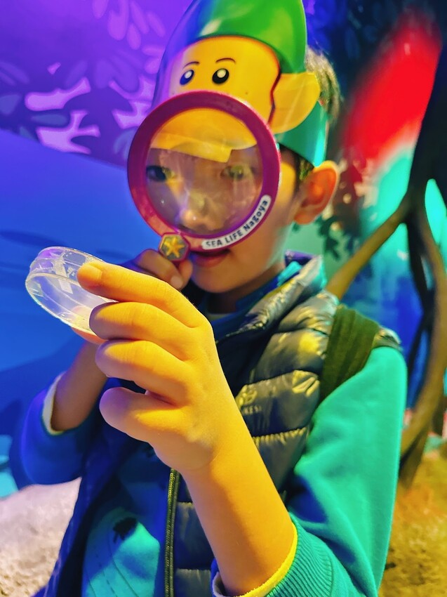 日本大阪、名古屋親子旅遊必玩景點～日本賞楓、大阪環球影城、樂高樂園、忍者博物館、名古屋電視塔超多行程