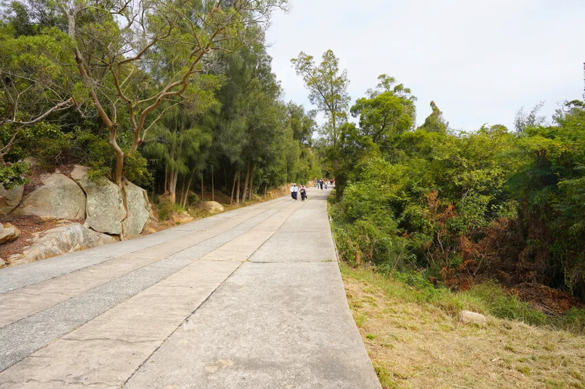 太武山風景區｜金門海拔最高的山，毋忘在莒，觀日步道，來這邊健走吧!