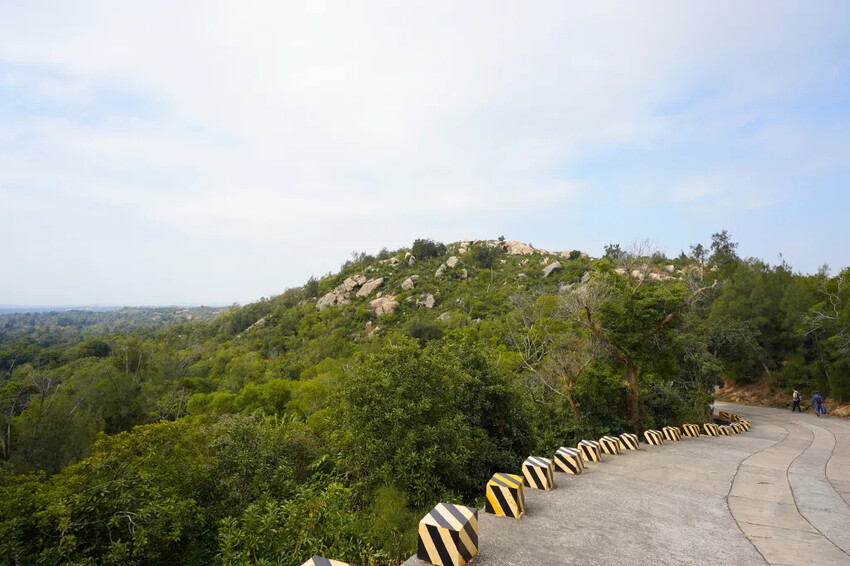 太武山風景區｜金門海拔最高的山，毋忘在莒，觀日步道，來這邊健走吧!