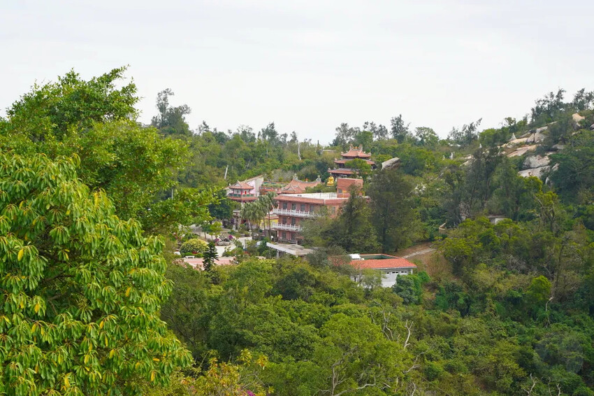 太武山風景區｜金門海拔最高的山，毋忘在莒，觀日步道，來這邊健走吧!