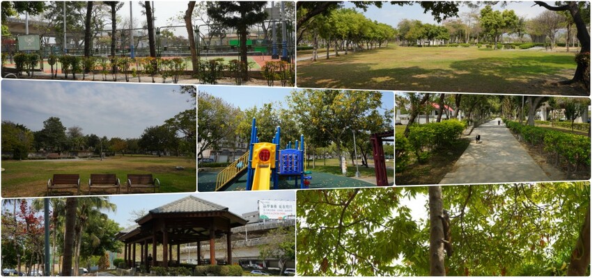 洋紅風鈴木|中台灣私房風景美點,粉紅花垂落紅磚墻,優雅登場