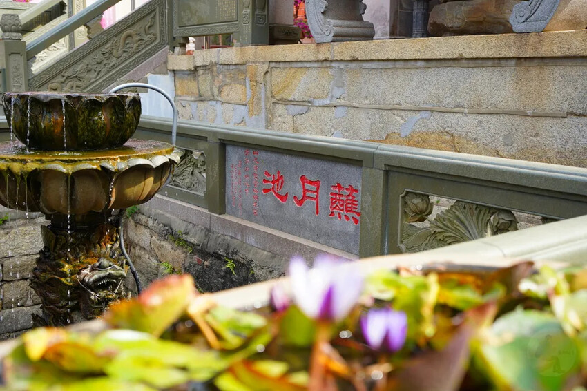金門海印寺|太武山上宋朝的古剎,安心石下藏龍脈走過八百年的寺廟