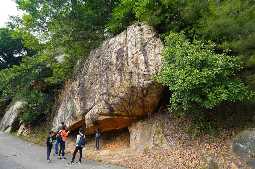 太武山風景區｜金門海拔最高的山，毋忘在莒，觀日步道，來這邊健走吧!
