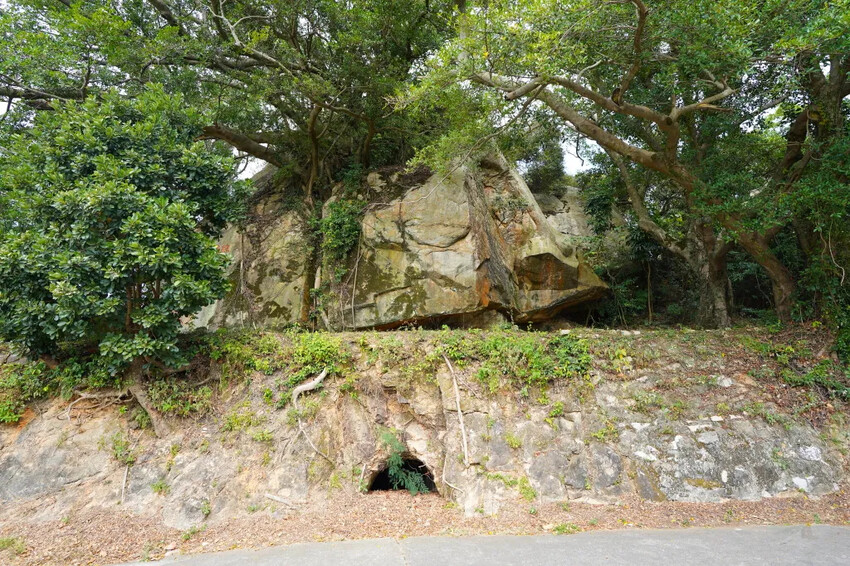 太武山風景區｜金門海拔最高的山，毋忘在莒，觀日步道，來這邊健走吧!
