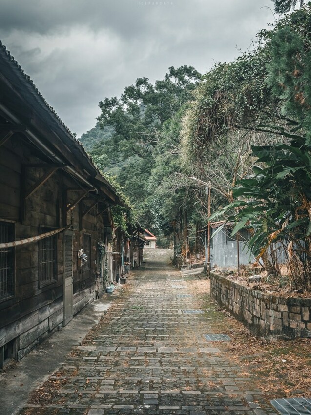 泰好玩獵人體驗營 成年試煉闖關體驗 美拍五葉松大道