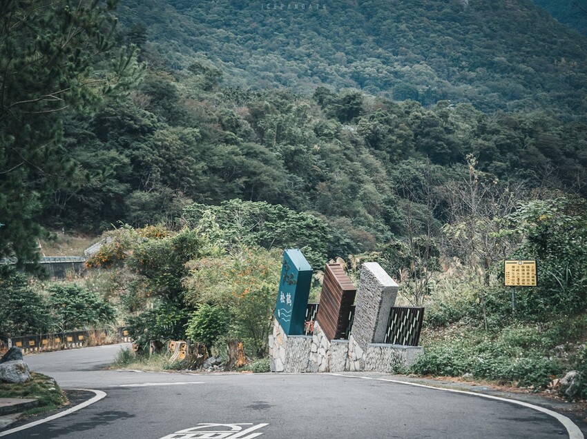 泰好玩獵人體驗營 成年試煉闖關體驗 美拍五葉松大道