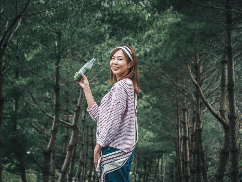 泰好玩獵人體驗營 成年試煉闖關體驗 美拍五葉松大道