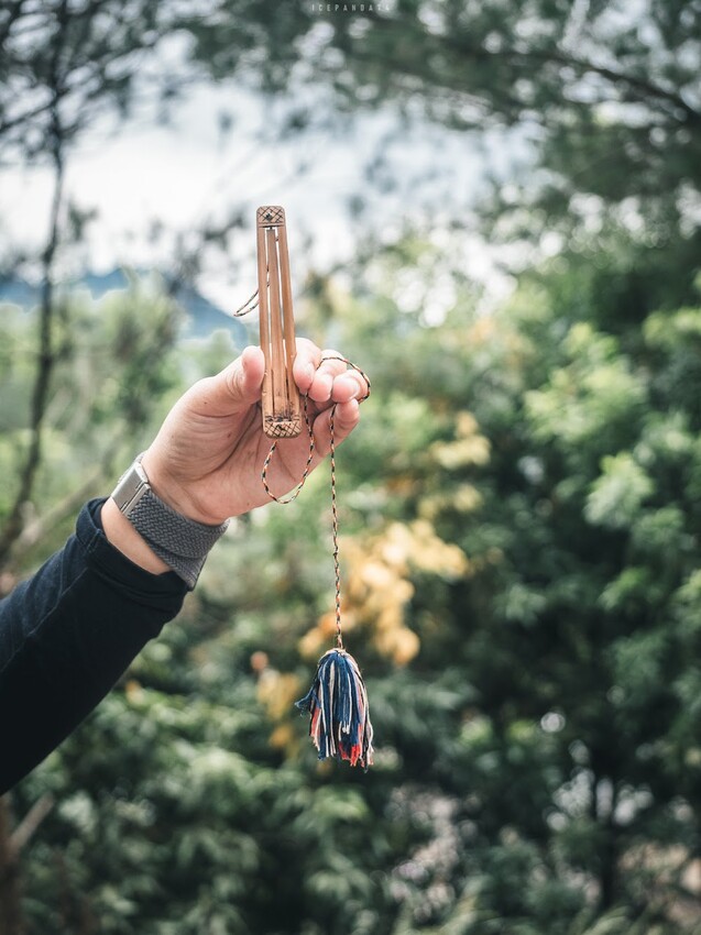 泰好玩獵人體驗營 成年試煉闖關體驗 美拍五葉松大道