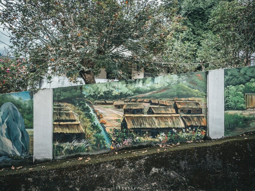 泰好玩獵人體驗營 成年試煉闖關體驗 美拍五葉松大道