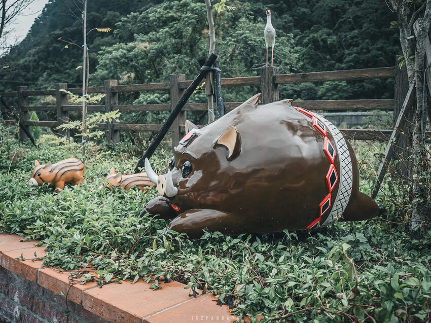 泰好玩獵人體驗營 成年試煉闖關體驗 美拍五葉松大道