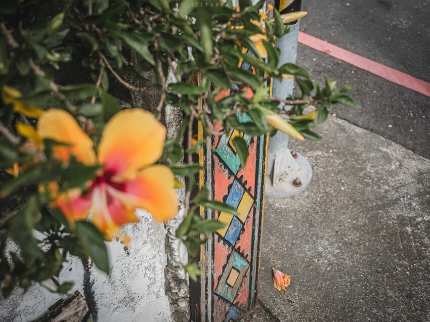 整個社區就像是戶外木雕藝術展