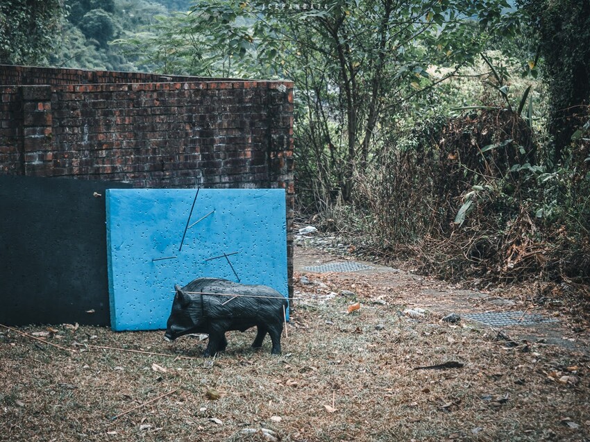 泰好玩獵人體驗營 成年試煉闖關體驗 美拍五葉松大道