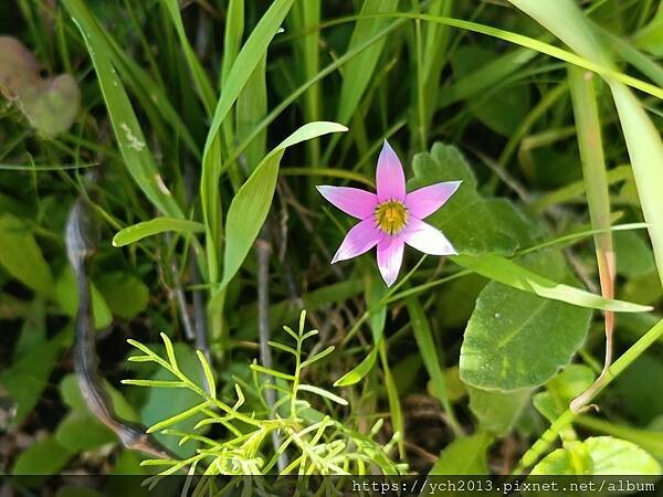 西澳景點/波浪岩Wave Rock登高望遠 西澳景點/波浪岩Wave Rock登高望遠