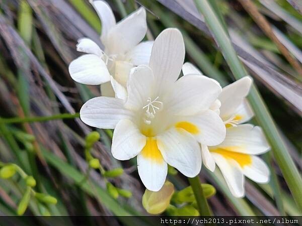 西澳景點/波浪岩Wave Rock登高望遠 西澳景點/波浪岩Wave Rock登高望遠