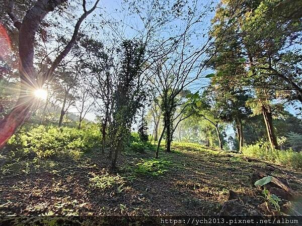 新竹五峰和平部落休閒農業園區/泰雅族