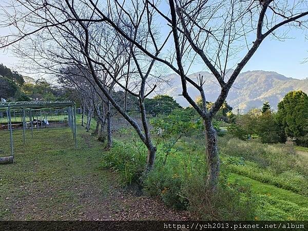 新竹五峰和平部落休閒農業園區/泰雅族