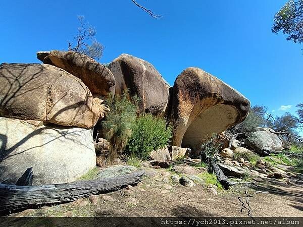 20230819河馬岩(27).jpg 20230819河馬岩(27).jpg